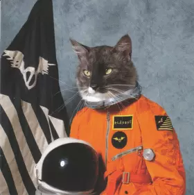 Couverture du produit · Surfing The Void