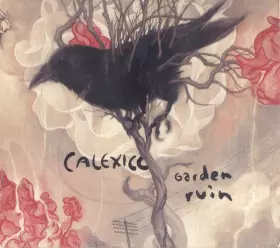 Couverture du produit · Garden Ruin