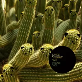 Couverture du produit · We Hear You