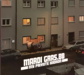 Couverture du produit · My Private Hadron