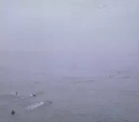 Couverture du produit · The Sky's Run Into The Sea