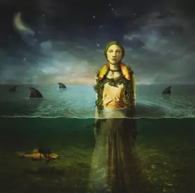 Couverture du produit · Found In The Flood