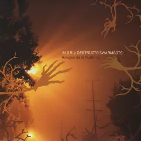 Couverture du produit · Amigos De La Guitarra