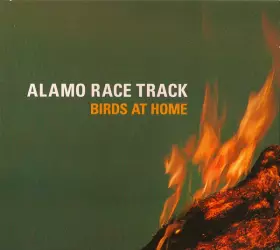 Couverture du produit · Birds At Home