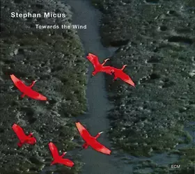 Couverture du produit · Towards The Wind