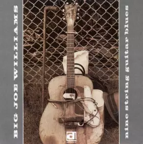Couverture du produit · Nine String Guitar Blues