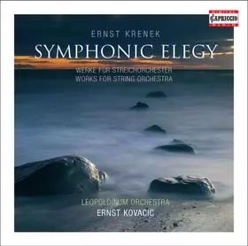 Couverture du produit · Symphonic Elegy - Works For String Orchestra