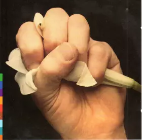 Couverture du produit · Lament