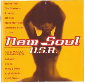 Couverture du produit · New Soul U.S.A.