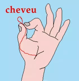 Couverture du produit · Cheveu
