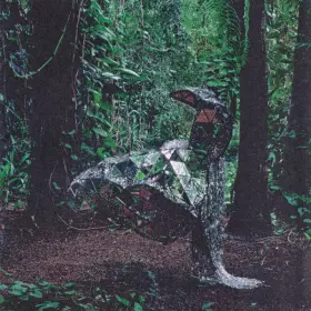 Couverture du produit · Donkey