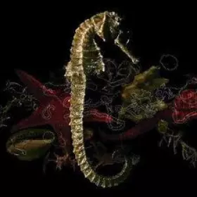 Couverture du produit · De Retour Dans Nos Criques