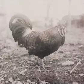 Couverture du produit · A Beautiful Life