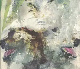 Couverture du produit · Tail Swallower And Dove