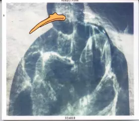 Couverture du produit · Seabed