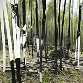 Couverture du produit · The Green Tiger's Alibi