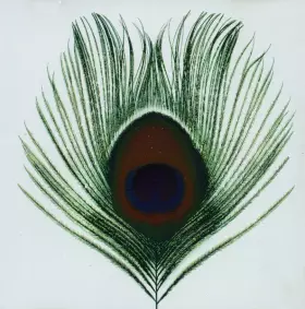 Couverture du produit · Apple Venus Volume 1