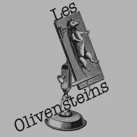 Couverture du produit · Les Olivensteins