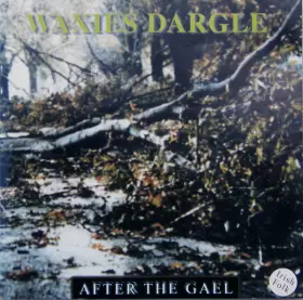 Couverture du produit · After The Gael