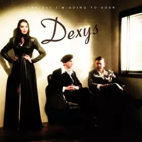 Couverture du produit · One Day I'm Going To Soar