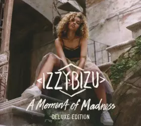 Couverture du produit · A Moment of Madness