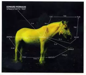 Couverture du produit · Synaesthetic Trip