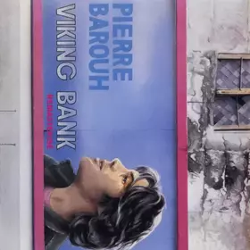 Couverture du produit · Viking Bank