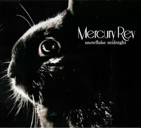 Couverture du produit · Snowflake Midnight