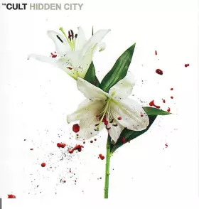 Couverture du produit · Hidden City