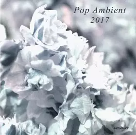 Couverture du produit · Pop Ambient 2017