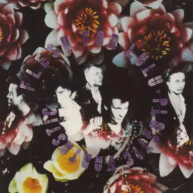 Couverture du produit · Plastic Fantastic