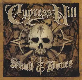 Couverture du produit · Skull & Bones
