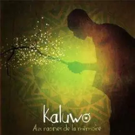 Couverture du produit · Aux Racines De La Mémoire