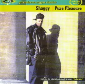 Couverture du produit · Pure Pleasure