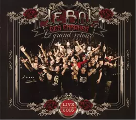 Couverture du produit · Le Grand Retour - Live 2013