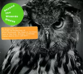 Couverture du produit · Beyond The Wizards Sleeve Re-Animations Vol. 1