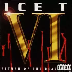 Couverture du produit · VI: Return Of The Real