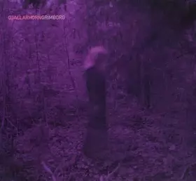 Couverture du produit · Grimborg