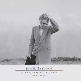 Couverture du produit · A Victim Of Stars 1982 - 2012