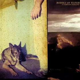 Couverture du produit · A Certain Feeling