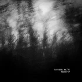 Couverture du produit · Désamour