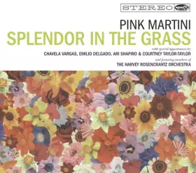 Couverture du produit · Splendor In The Grass