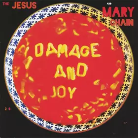Couverture du produit · Damage And Joy