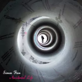 Couverture du produit · Accidental Life