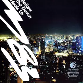 Couverture du produit · Before The Dawn Heals Us