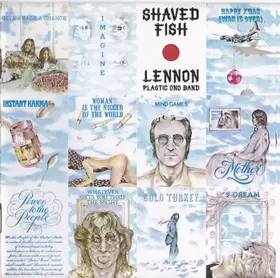 Couverture du produit · Shaved Fish