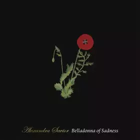 Couverture du produit · Belladonna Of Sadness