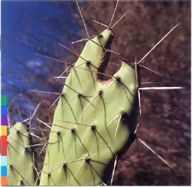 Couverture du produit · Island Of Ghosts