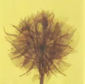 Couverture du produit · Spirits Of Your Tide