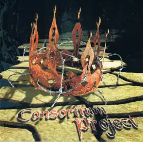 Couverture du produit · Ian Parry's Consortium Project